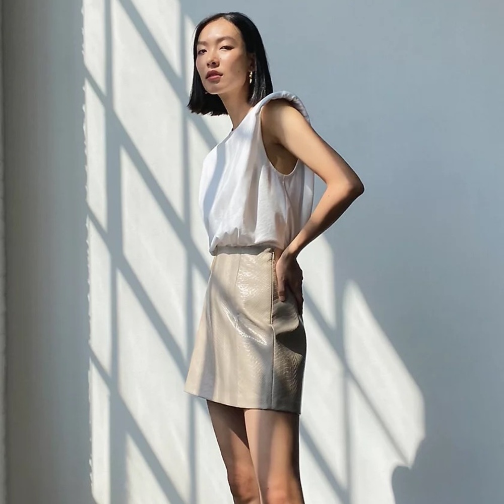 Aritzia Babaton Mini Skirt